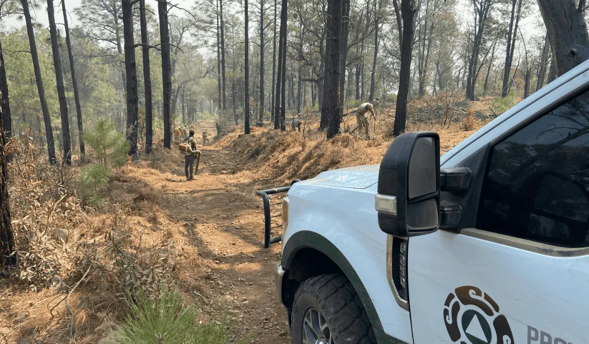Avanza el combate de incendios forestales en Nácori Chico y Bavispe