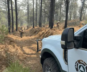 Avanza el combate de incendios forestales en Nácori Chico y Bavispe