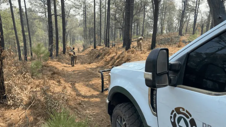 En Nácori Chico, el fuego presenta un avance del 40% en control y un 35% de liquidación. (Foto: CEPC)