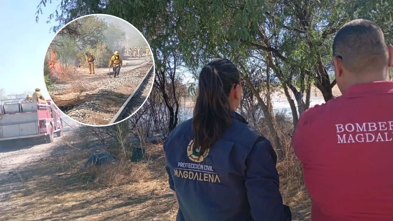 Se registran incendios forestales en el municipio de Magdalena