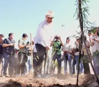 Durazo inicia reforestación del Bosque Urbano La Sauceda: planta primer árbol
