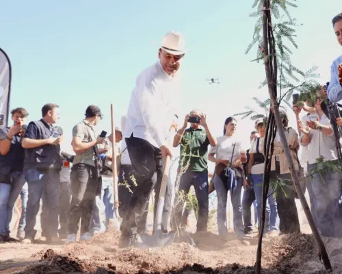 Durazo inicia reforestación del Bosque Urbano La Sauceda: planta primer árbol