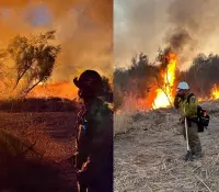 Incendio de Bryce en Arizona arrasa 850 acres y sigue fuera de control