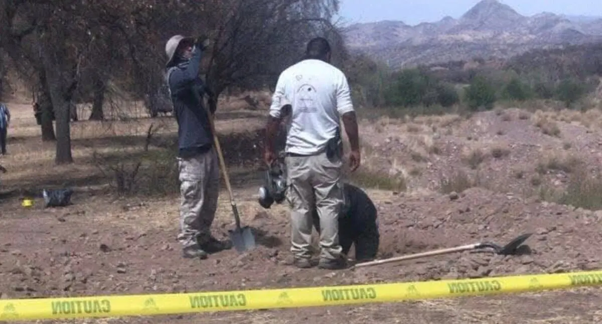 Hallan tres cuerpos en jornada de búsqueda en Nogales