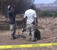 Hallan tres cuerpos en jornada de búsqueda en Nogales