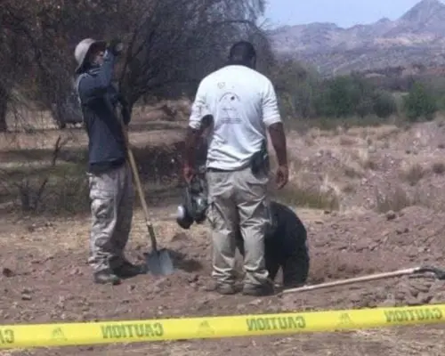 Hallan tres cuerpos en jornada de búsqueda en Nogales