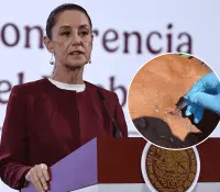 Sheinbaum rechaza freno de EU a importación de ganado mexicano