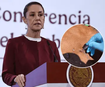 Sheinbaum rechaza freno de EU a importación de ganado mexicano