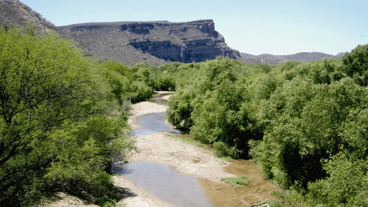 Río Sonora será prioridad en programa nacional de remediación ambiental