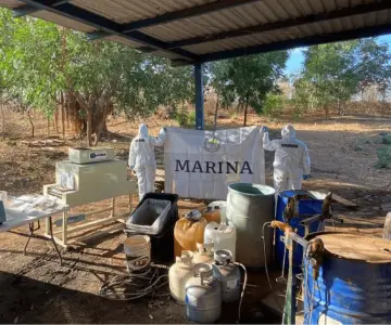 Desmantelan laboratorios clandestinos en distintos municipios de Sinaloa