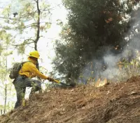 Brigadista resulta lesionado tras explosión de artefacto en Sinaloa