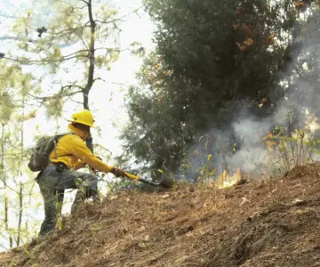 Brigadista resulta lesionado tras explosión de artefacto en Sinaloa