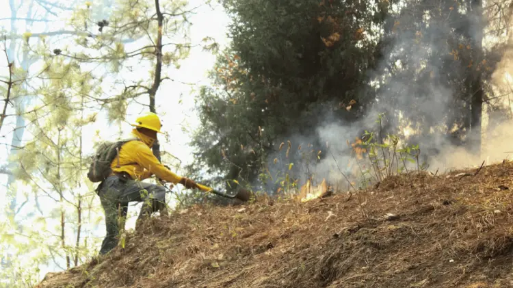 Brigadista resulta lesionado tras explosión de artefacto en Sinaloa