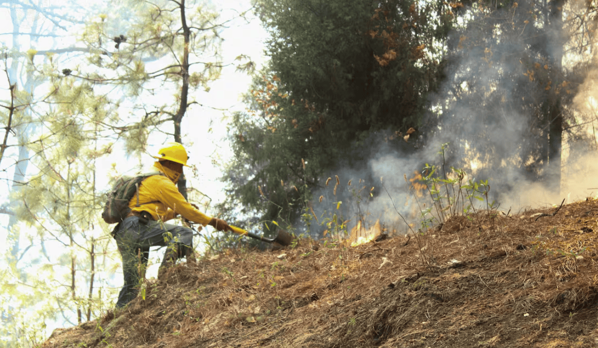 Brigadista resulta lesionado tras explosión de artefacto en Sinaloa