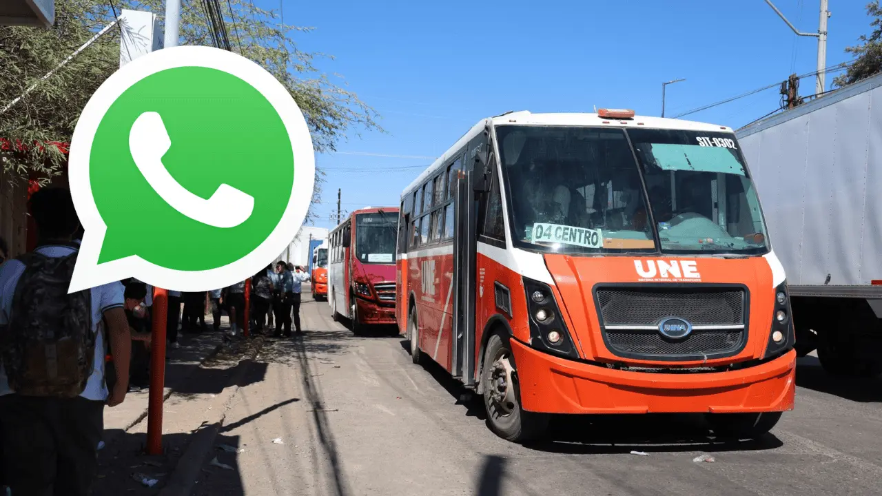 Imtes habilita número de WhatsApp para reportes y sugerencias de usuarios