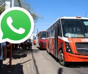 Imtes habilita número de WhatsApp para reportes y sugerencias de usuarios