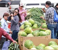 Estudiantes se acercan a la meta para comprar tractor con venta de hortalizas