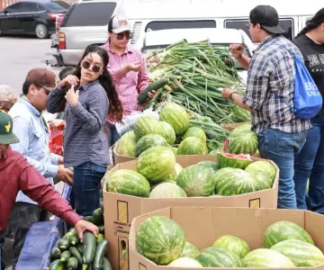 Estudiantes se acercan a la meta para comprar tractor con venta de hortalizas