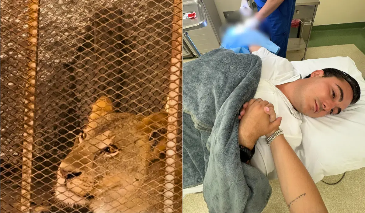 Alcalde de Nuevo León resulta herido por la mordida de un león