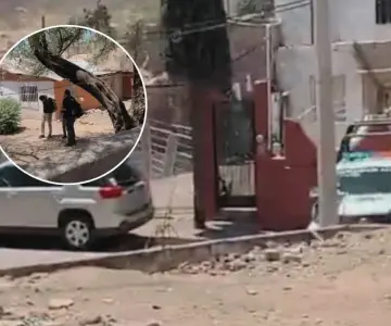 Nogales: Moviliza a autoridades localización de restos óseos de un animal