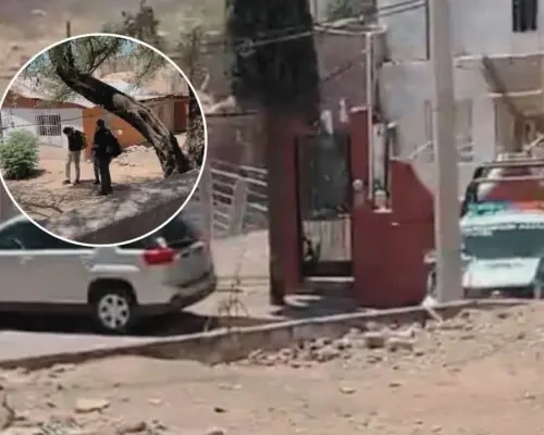 Nogales: Moviliza a autoridades localización de restos óseos de un animal