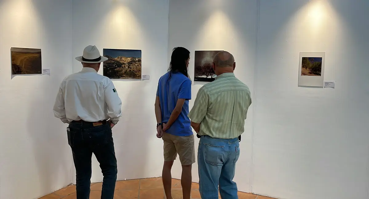 Estas son las sedes de la Ruta del Arte en las Fiestas del Pitic