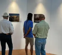 Estas son las sedes de la Ruta del Arte en las Fiestas del Pitic
