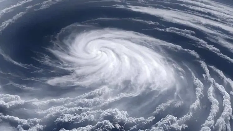 Foto: Especial / EXPRESO.