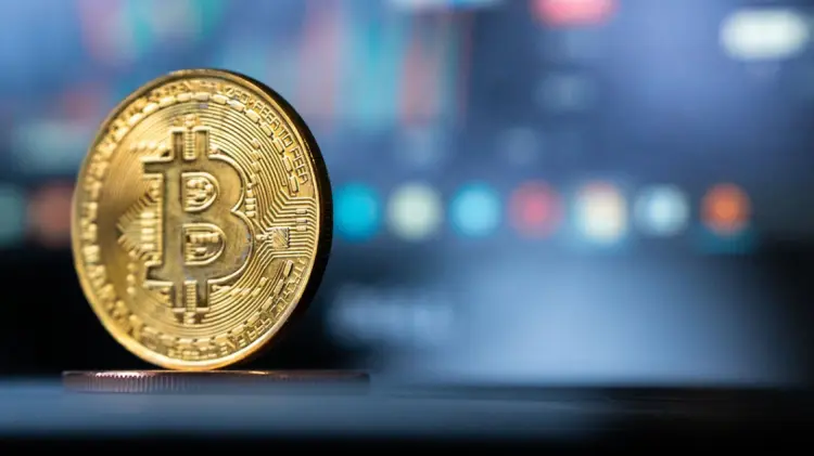 Imagen: Especial / EXPRESO.