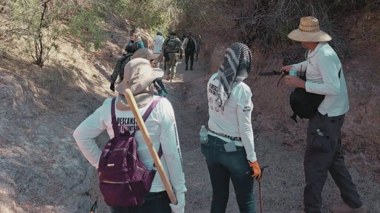 Colectivos realizarán jornada de búsqueda en región norte de Sonora