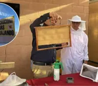 Nogales se convierte en pionero en la protección de las abejas