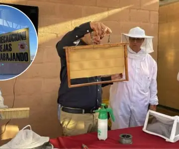 Nogales se convierte en pionero en la protección de las abejas