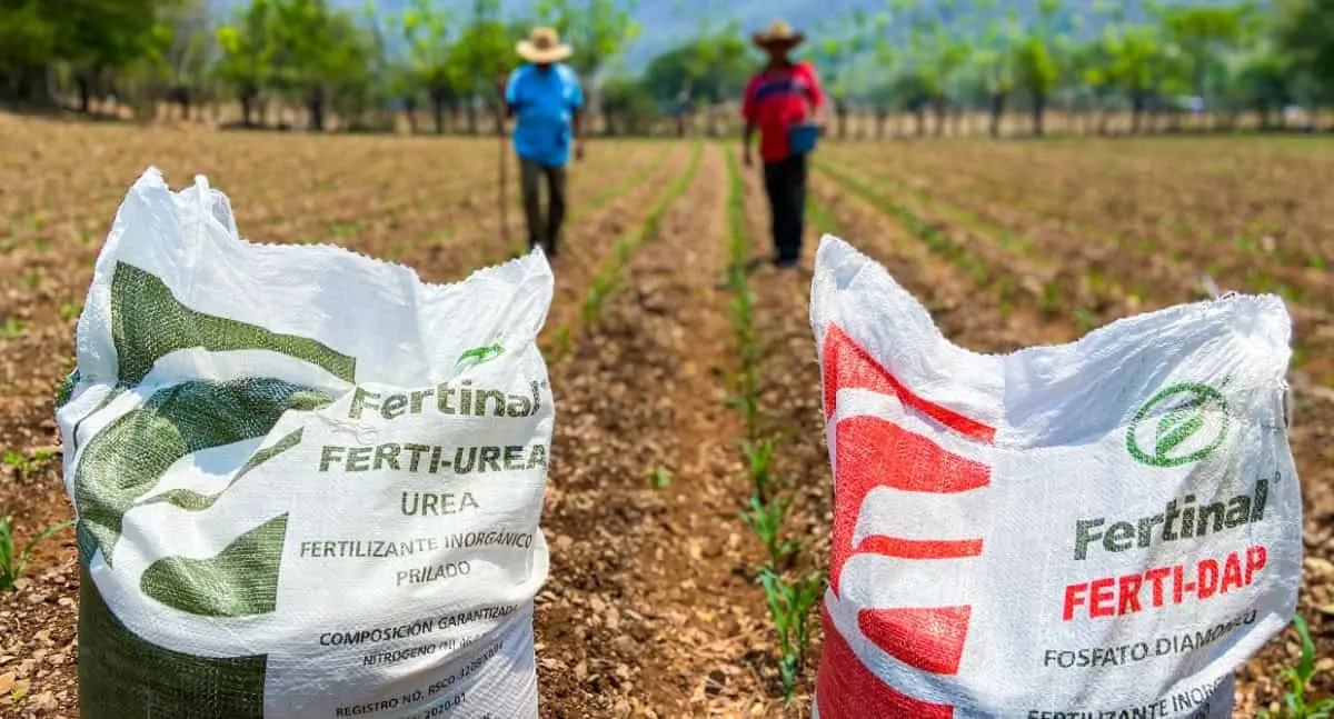 Sader beneficiará a pequeños productores en 58 municipios con fertilizantes