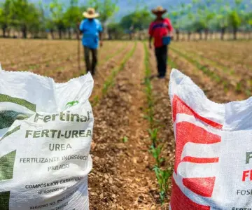 Sader beneficiará a pequeños productores en 58 municipios con fertilizantes