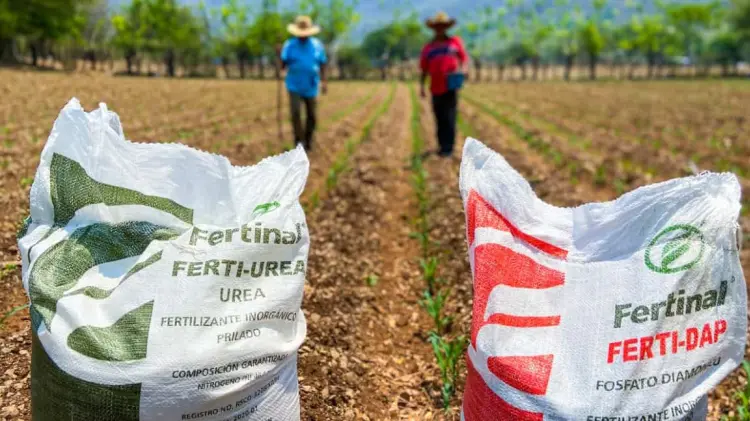 Primera etapa ha alcanzado avance del 81 por ciento. (Foto: Especial / EXPRESO)