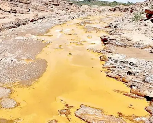 Ofrecerán nuevo plan para el Río Sonora: Bárcena
