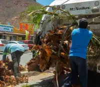 110 toneladas de basura recolectadas en calles principales de Guaymas