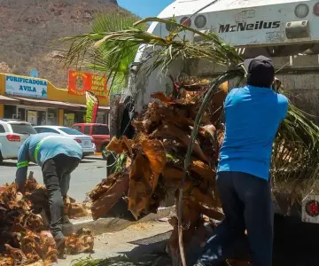110 toneladas de basura recolectadas en calles principales de Guaymas