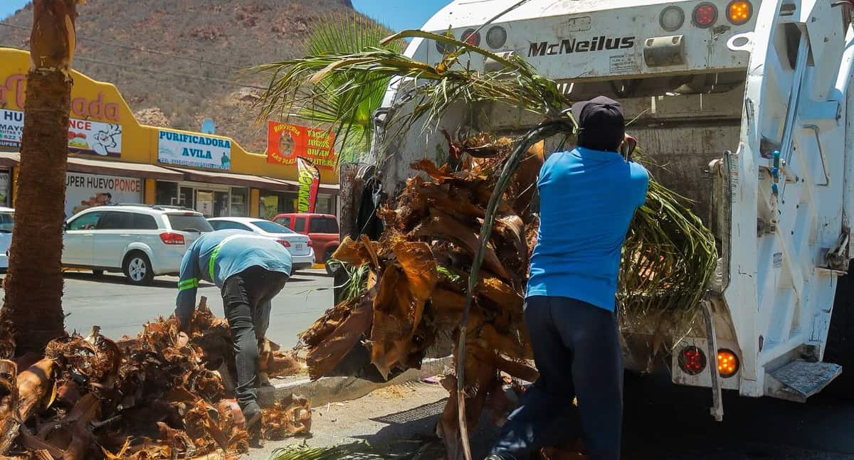 110 toneladas de basura recolectadas en calles principales de Guaymas