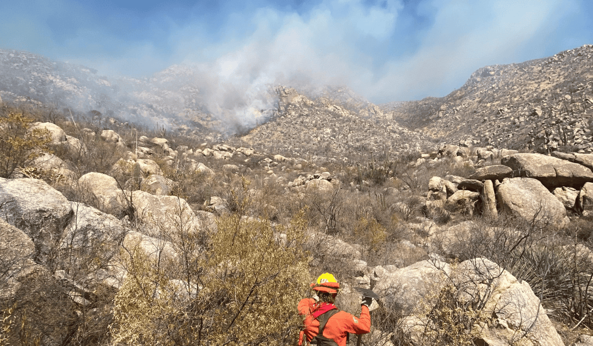 Liquidan incendio forestal en Tubutama; mantienen combate en otros