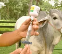Productores y veterinarios reciben capacitación contra el gusano barrenador