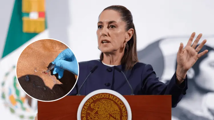 Se cumplieron 15 días del cierre de fronteras a las exportaciones mexicanas de ganado. (Especial)