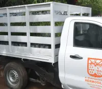 Comparten ideas para reutilizar el agua en la Feria del Árbol en Hermosillo