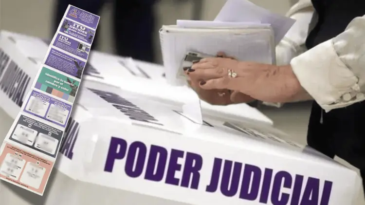 La prohibición es para ciudadanos, partidos políticos, servidores públicos o candidatos. (Especial)