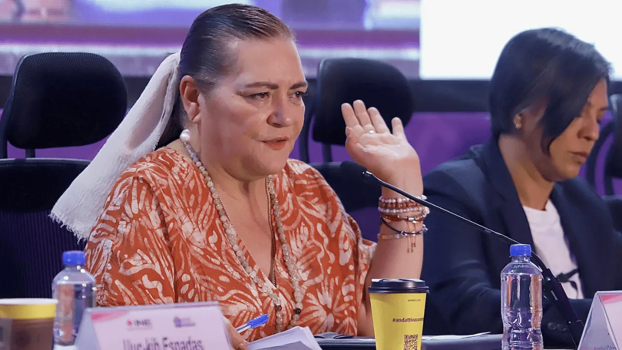 Uso personal de “acordeones electorales” no es delito, define el INE