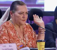 Uso personal de "acordeones electorales" no es delito, define el INE