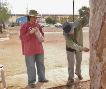 Clio y Kassandra reviven los árboles secos de La Sauceda con escultura