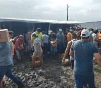 Saquean cartones de cerveza de tráiler volcado en la carretera