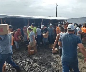 Saquean cartones de cerveza de tráiler volcado en la carretera
