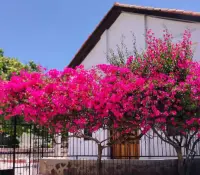 Un éxito Bazar con Causa para el Asilo de Ancianas en Guaymas